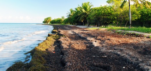 Spiaggia delle Saline