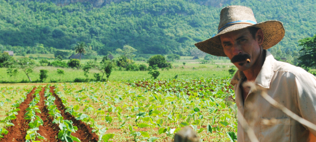 Valle di Vinales