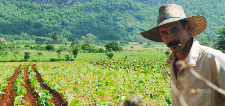 Valle di Vinales