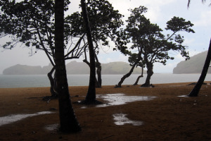 Plage de Pompierre, Guadalupa